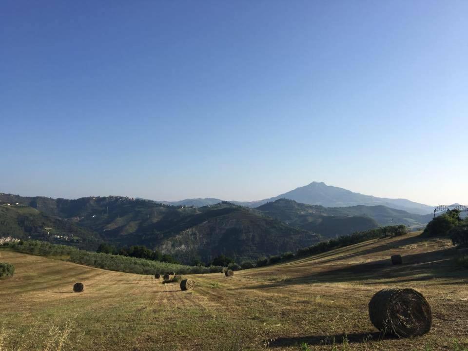 Residenza Case Pacifici Ascoli Piceno Exteriör bild